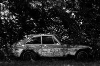 MG British Leyland