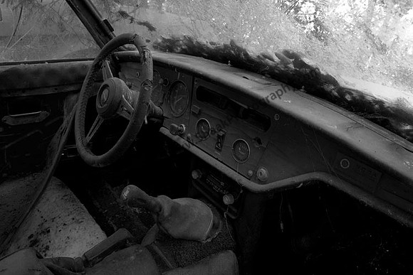 IMG_1617.3 copy Triumph
