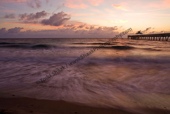 IMG_4218 copy