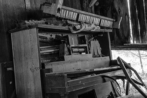 IMG_9820-2009-BW copy