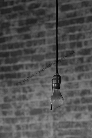IMG_8532 copy
