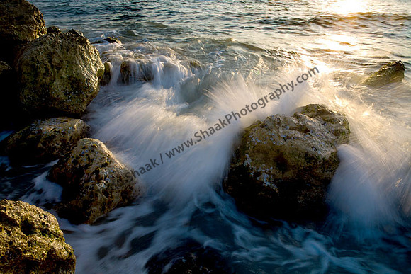 IMG_4746 copy