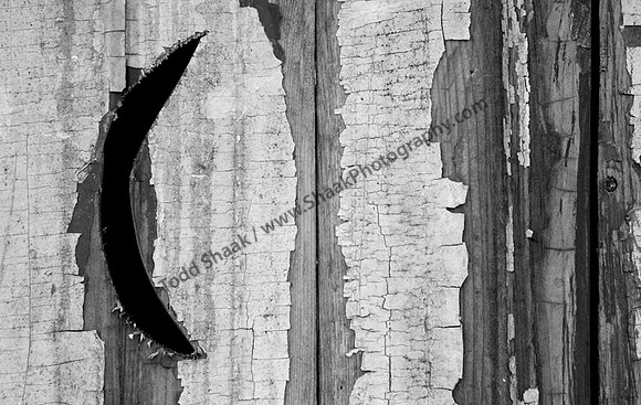 IMG_7127.BW copy