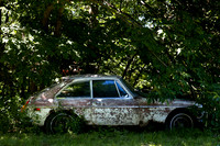 MG British Leyland