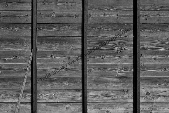 IMG_9200.4.BW copy