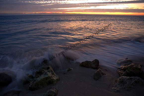 IMG_3582 copy