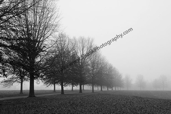 IMG_3137.4.BW copy