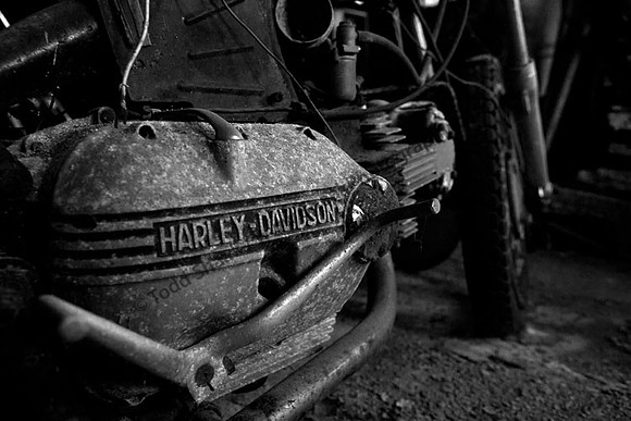 Harley Davidson
