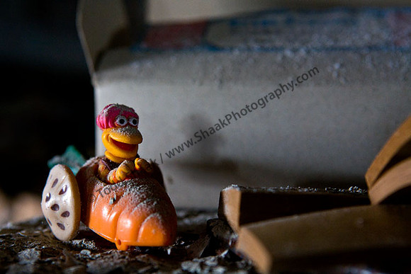 IMG_8927.3 copy