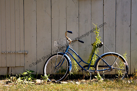 IMG_0789.3 copy
