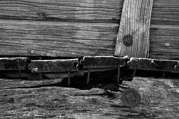 IMG_9096.4.BW copy