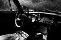 MG British Leyland