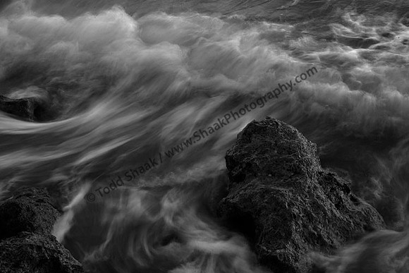 IMG_3889.BW copy
