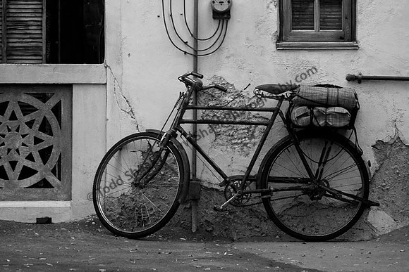 IMG_6323.BW copy