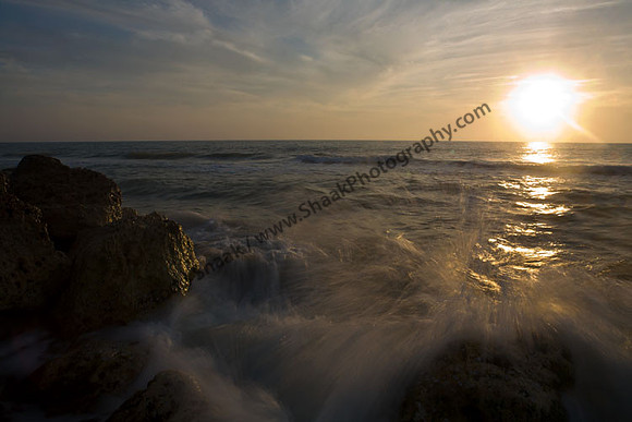 IMG_4753 copy