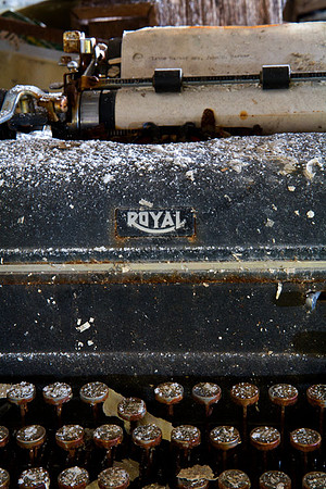 IMG_8881.3 copy