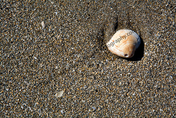 IMG_3352.2 copy