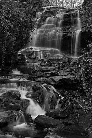 IMG_3193.BW copy