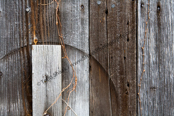 IMG_3309.4 copy