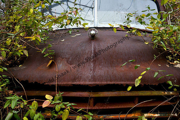 Studebaker