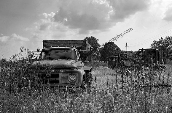 IMG_6460 copy