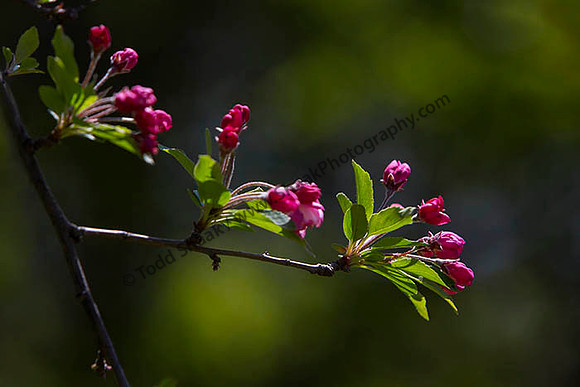 IMG_2866.6.2013 copy