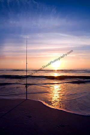IMG_5056 copy