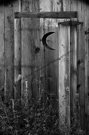 IMG_0331.BW copy