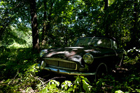 MG British Leyland