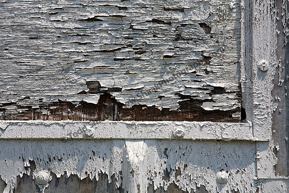IMG_9087.4 copy