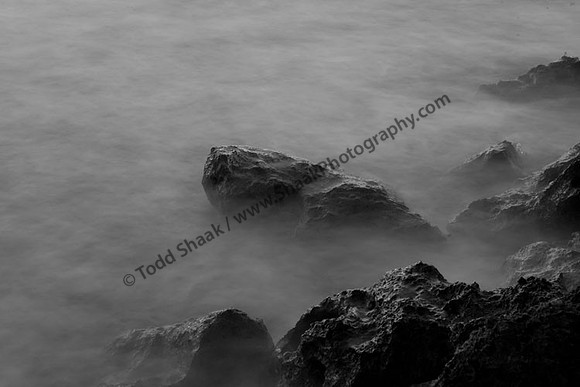 IMG_3801.BW copy