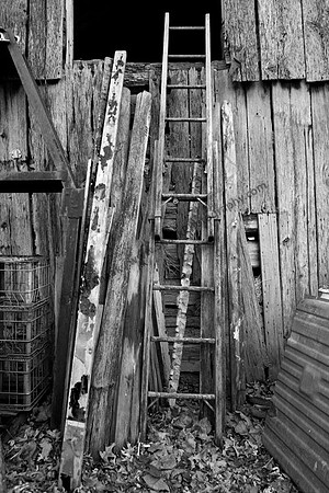 IMG_2462.3.BW copy