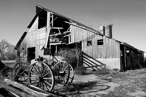 IMG_5271.4.BW copy