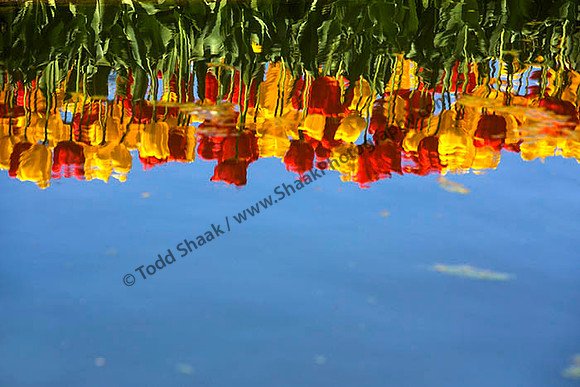 IMG_2587.6.2013 copy