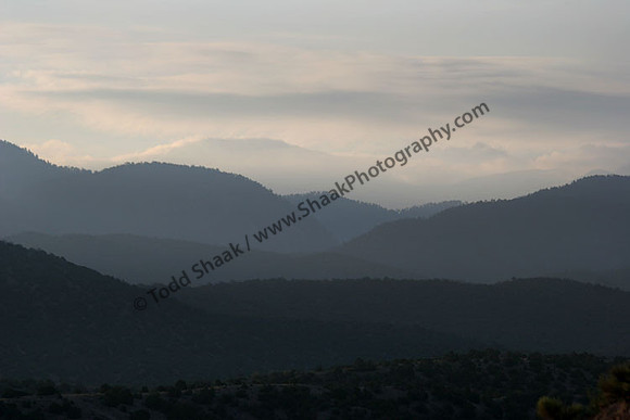 IMG_1656.5 copy