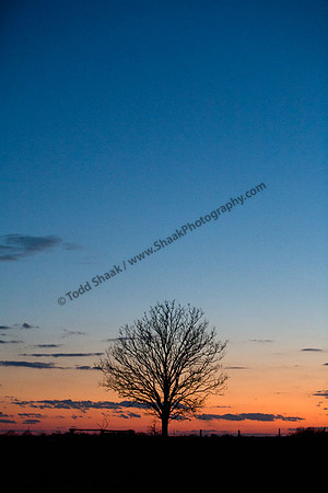 IMG_5154.4 copy