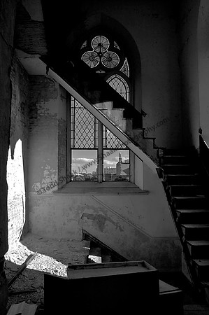 IMG_3814-BW copy