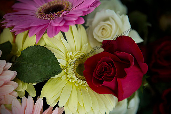 IMG_5030.6.2013 copy