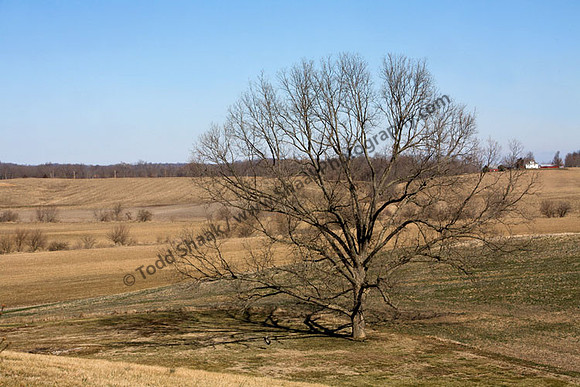 IMG_4467.4 copy