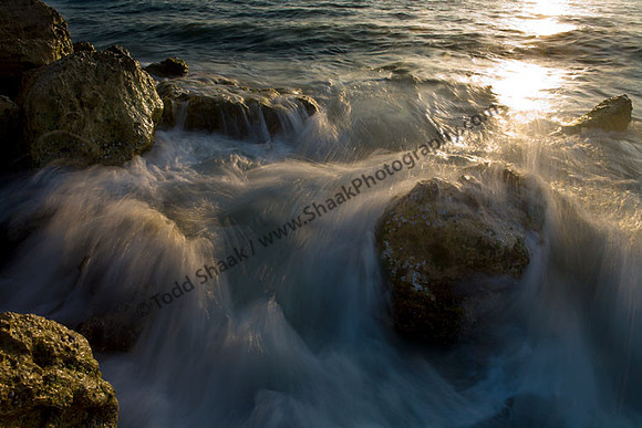 IMG_4745 copy
