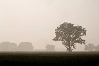 IMG_0522.2