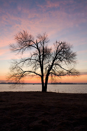 IMG_2535.3 copy