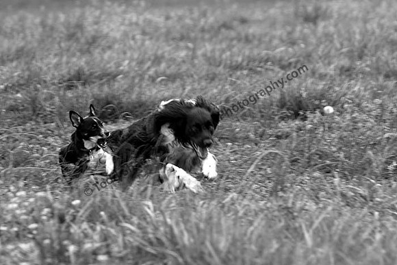 IMG_2411.6.2013.BW copy