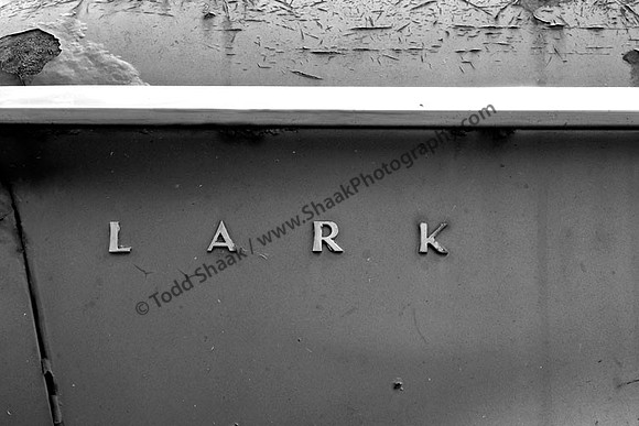 Lark