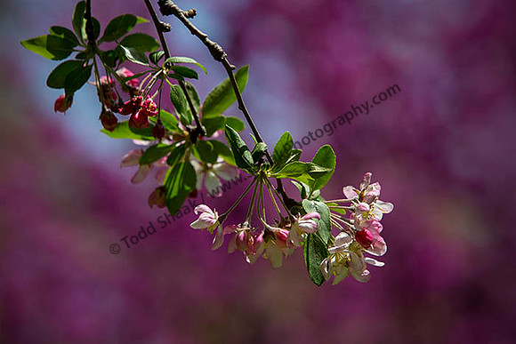IMG_2859.6.2013 copy
