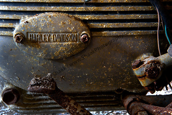 Harley Davidson