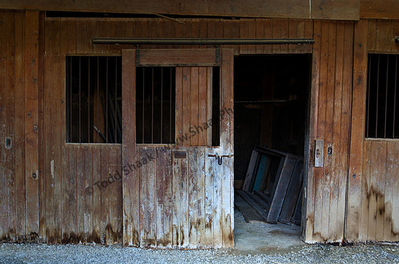 IMG_3195.4 copy
