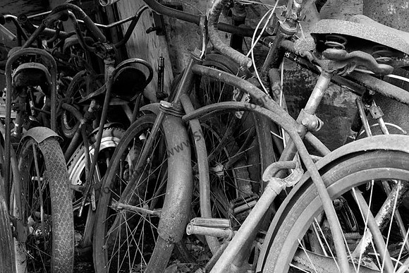 IMG_2058.3.BW copy
