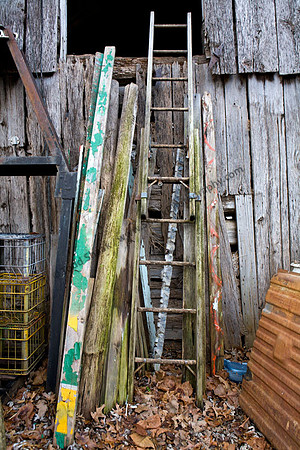 IMG_2462.3 copy