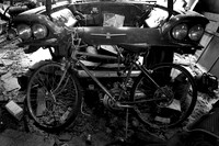 Thunderbird & Schwinn